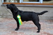 DSC_0369 – Copy
