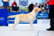 Russia show