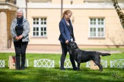 AXD_8739(1)